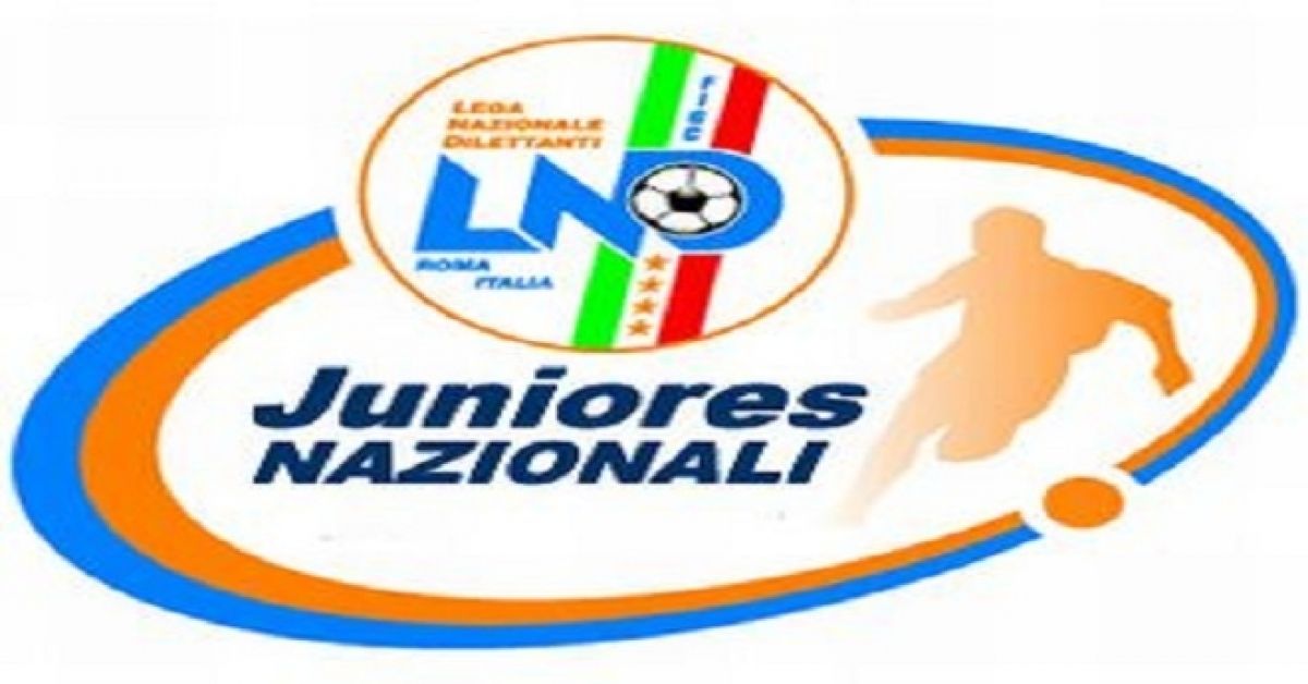 Juniores Cup 2014 e D club: in Versilia la festa della Serie D